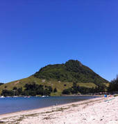 Your local accountants