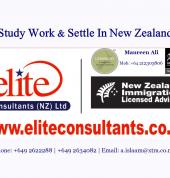 Elite Consultants NZ Ltd Manukau (2104) Business Consulting 2_small